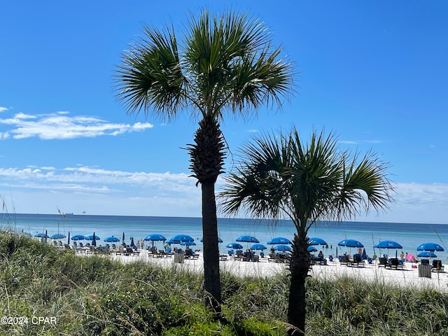 property view of water with a beach view