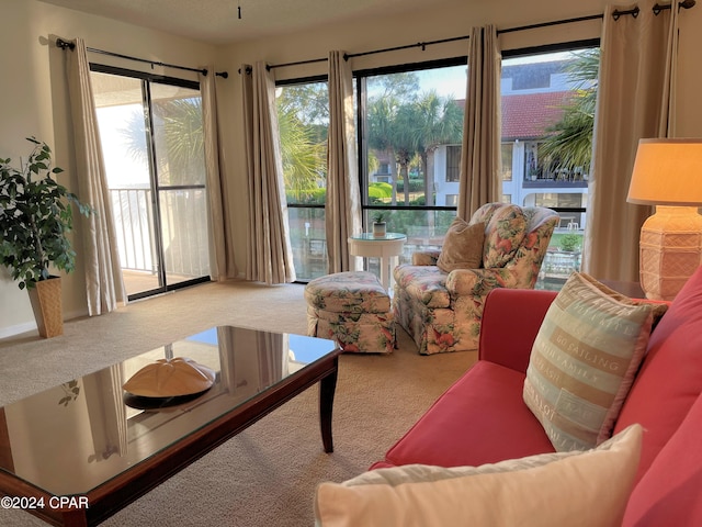 view of carpeted living room