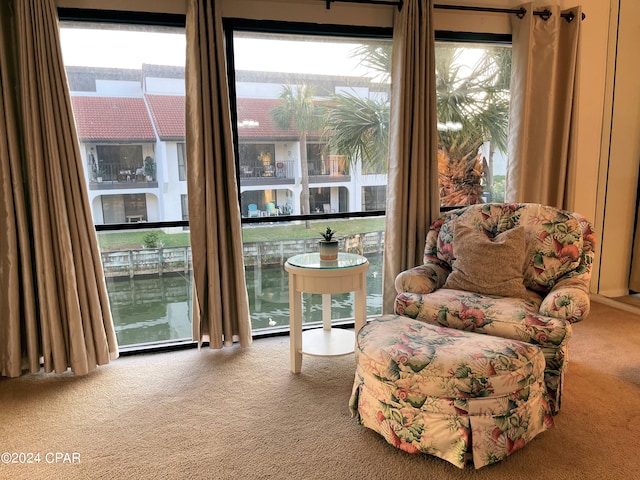 living area with carpet flooring