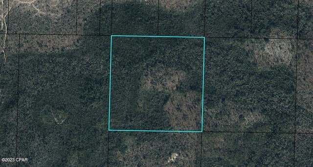 Listing photo 3 for 0 NW Camp Head Rd, Altha FL 32421