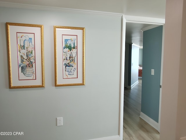 interior space featuring ornamental molding, light wood-style flooring, and baseboards