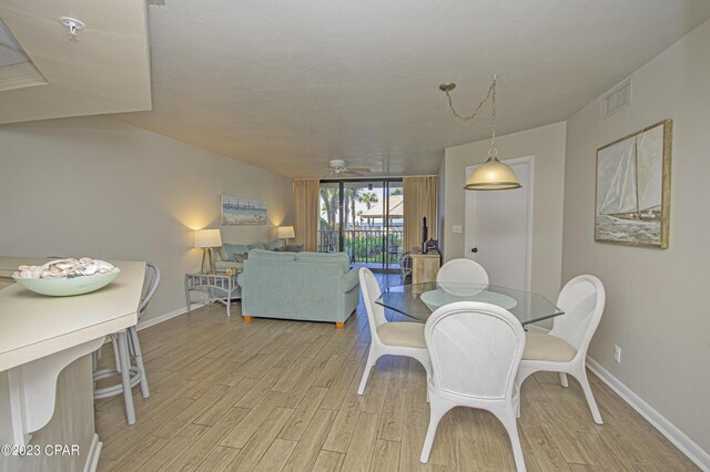 living room featuring ceiling fan and light wood-type flooring