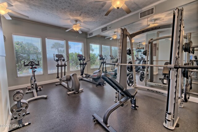 workout area with crown molding, a healthy amount of sunlight, ceiling fan, and a textured ceiling