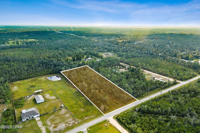 12380 Webber Rd, Fountain FL, 32438 land for sale