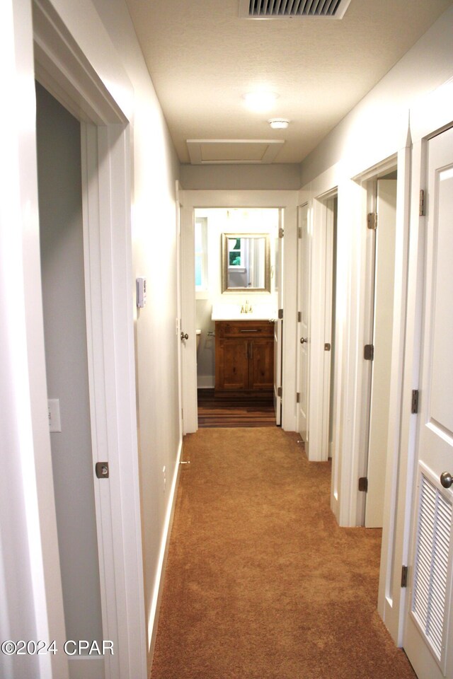 hall featuring carpet floors and sink