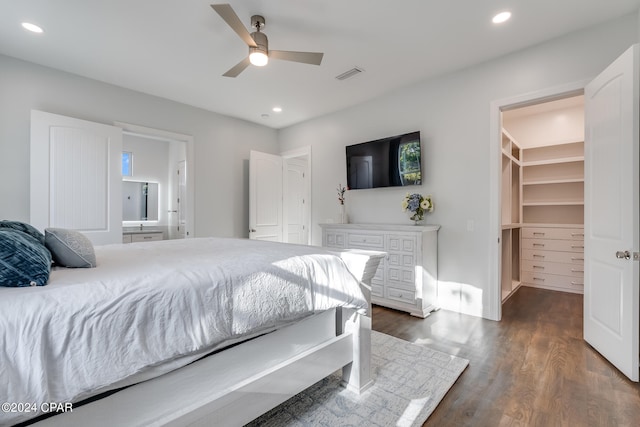 bedroom featuring a spacious closet, a closet, ceiling fan, and dark wood-type flooring