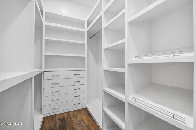 spacious closet with dark wood-type flooring