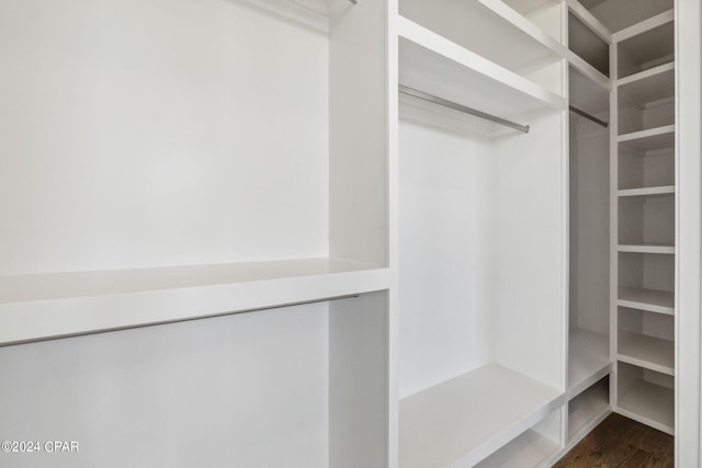 spacious closet featuring dark hardwood / wood-style floors