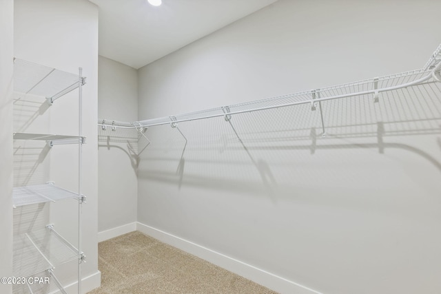 spacious closet with light colored carpet