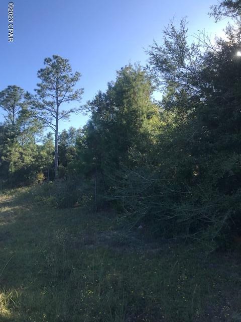 Listing photo 2 for 0 Fairview Rd Lot 2Blk 90, Alford FL 32420