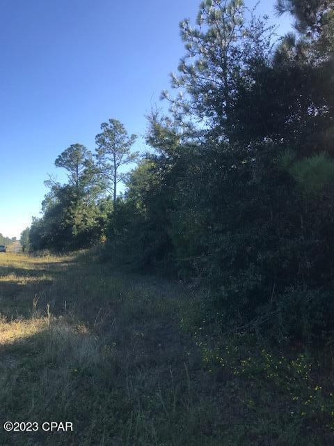 Listing photo 3 for 0 Fairview Rd Lot 2Blk 90, Alford FL 32420