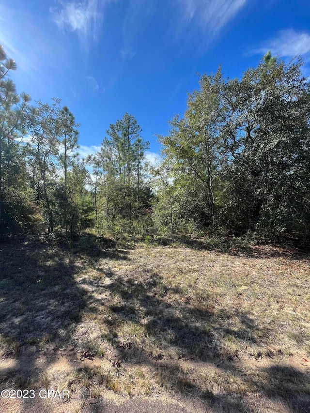 Listing photo 2 for Lot8 Regent, Chipley FL 32428