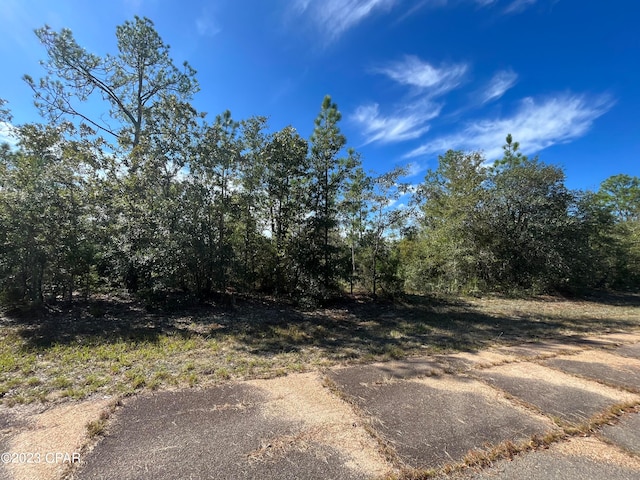 Listing photo 3 for Lot8 Regent, Chipley FL 32428