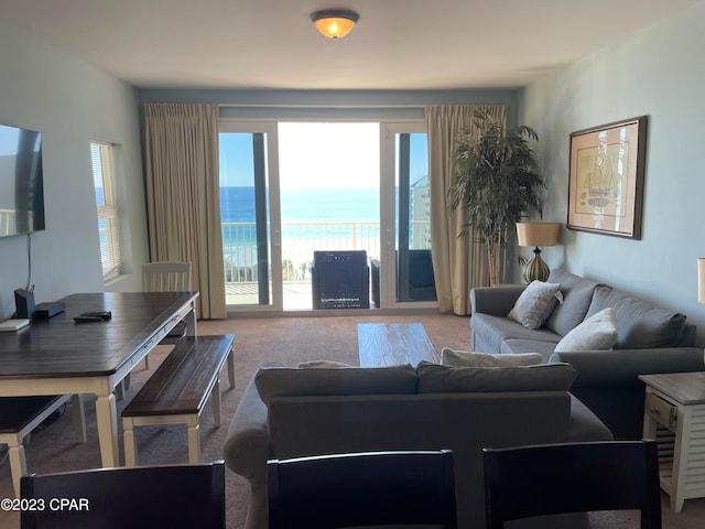 carpeted living room featuring a water view