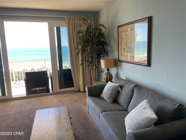 living room with carpet and a water view