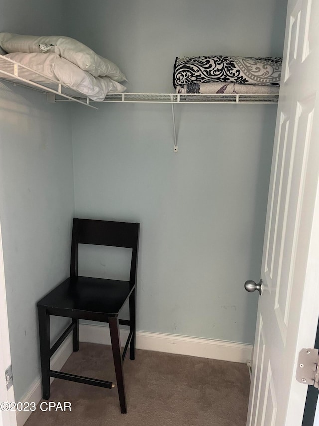 walk in closet featuring carpet flooring