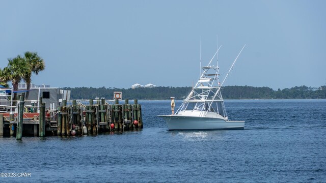 view of dock with a water view