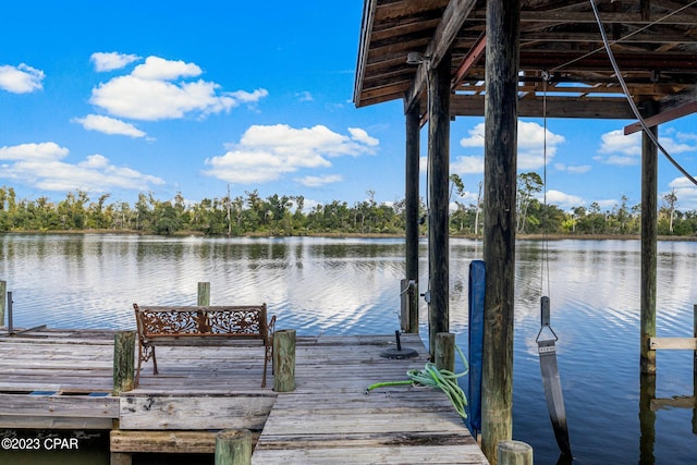 dock area with a water view