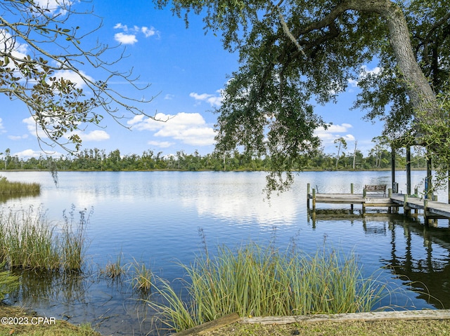 view of dock featuring a water view