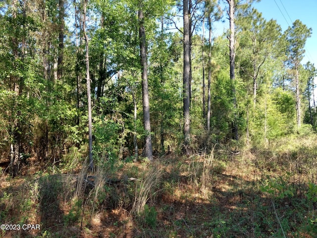 TBD Little John Ln, Bonifay FL, 32425 land for sale