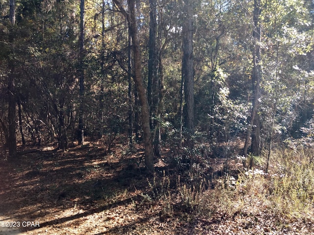 Listing photo 2 for TBD Little John Ln, Bonifay FL 32425