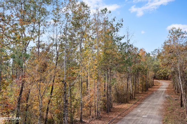 XXX Pusley Hill Rd, Ponce De Leon FL, 32455 land for sale