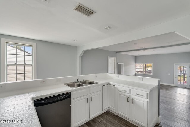 kitchen featuring dark hardwood / wood-style floors, plenty of natural light, sink, and stainless steel dishwasher