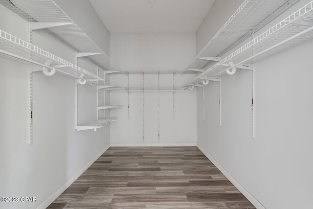 spacious closet with wood-type flooring