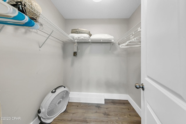 walk in closet with wood-type flooring