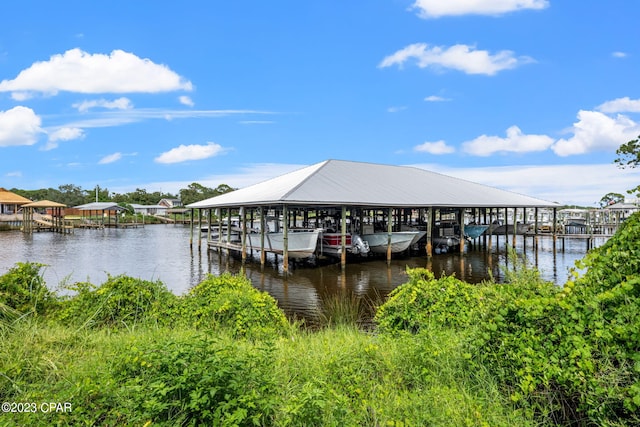 dock area with a water view