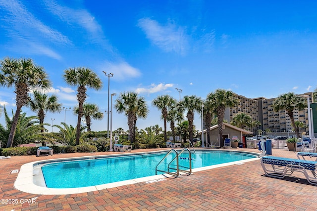 view of swimming pool featuring a patio area