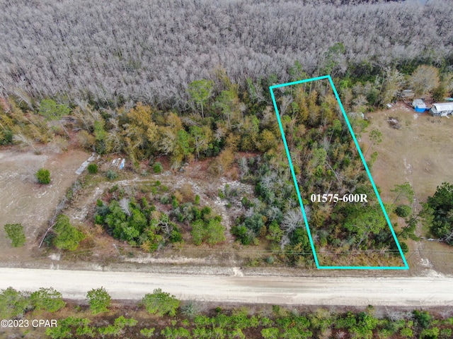 706 Dead Lakes Dr, Wewahitchka FL, 32465 land for sale