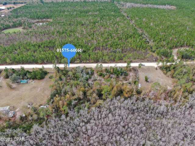 Listing photo 3 for 706 Dead Lakes Dr, Wewahitchka FL 32465