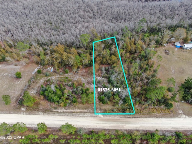 000 Dead Lakes Dr, Wewahitchka FL, 32465 land for sale