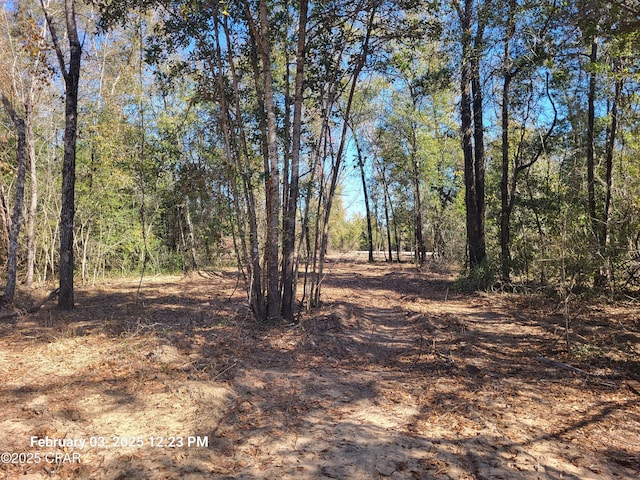 00 NW White Pond Rd Lot 1, Altha FL, 32421 land for sale