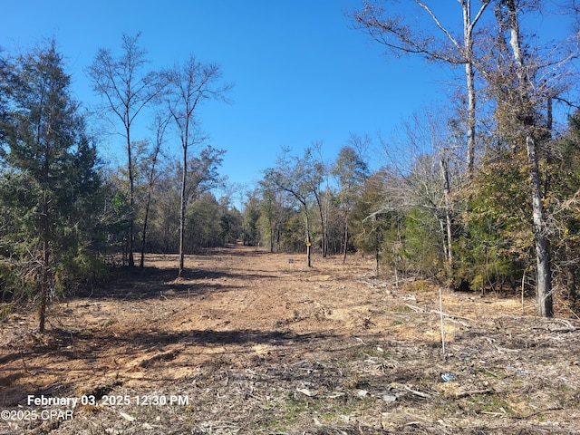 Listing photo 2 for 00 NW White Pond Rd Lot 1, Altha FL 32421