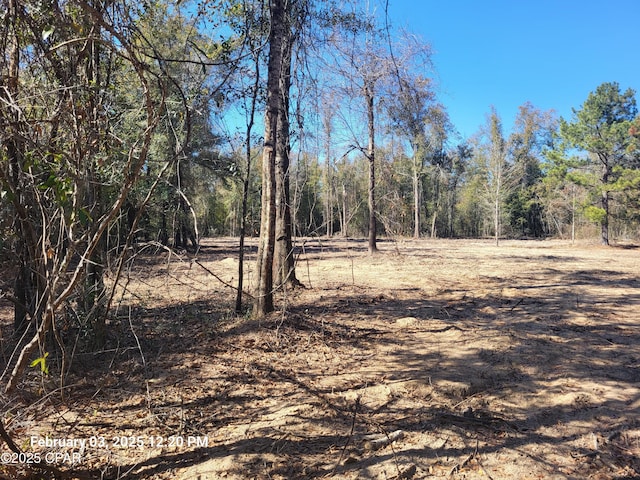 22-2N-1000 NW White Pond Rd Lot 10, Altha FL, 32421 land for sale