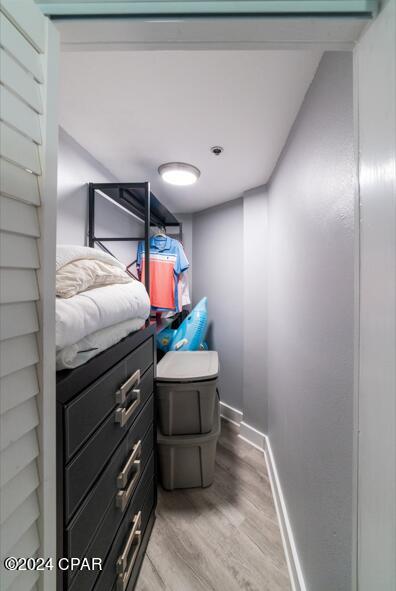 walk in closet featuring light wood-style floors