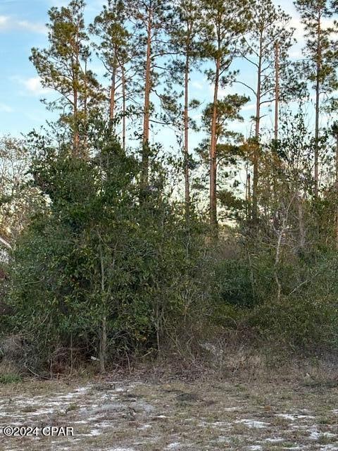 0000 Santa Rosa Ave, Southport FL, 32409 land for sale