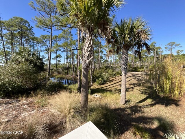 view of local wilderness