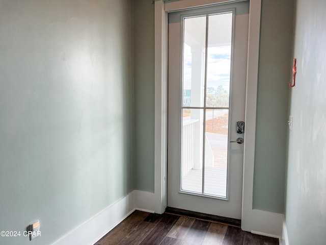 doorway with dark hardwood / wood-style flooring and a healthy amount of sunlight