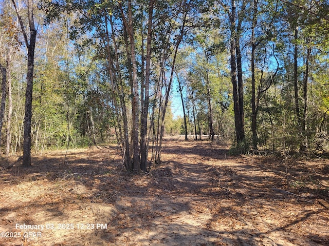 Listing photo 3 for 00 Womble Rd Lot 7, Altha FL 32421