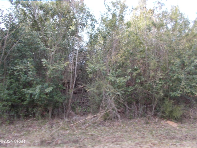 Listing photo 3 for Address Not Disclosed, Marianna FL 32446