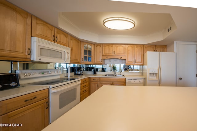 kitchen with crown molding, white appliances, sink, and a tray ceiling