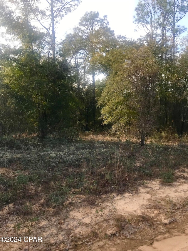 0 Dunford Cir Lot 13, Chipley FL, 32428 land for sale