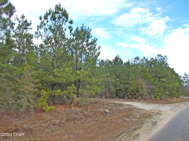 2429 Bridgecreek Rd, Marianna FL, 32446 land for sale