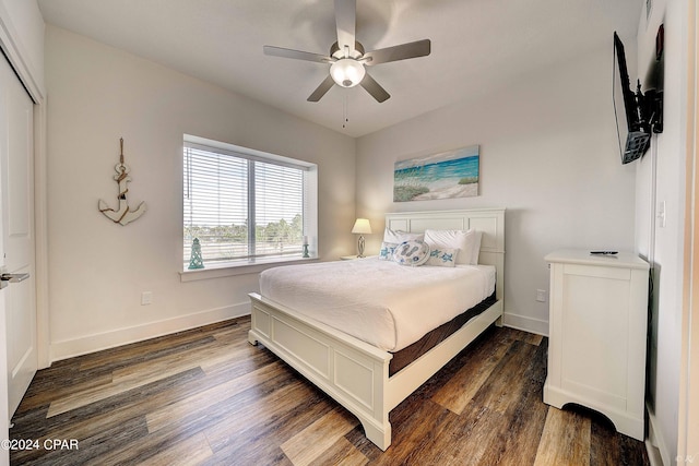 bedroom featuring a closet, ceiling fan, and dark wood-type flooring