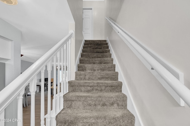 stairway featuring carpet