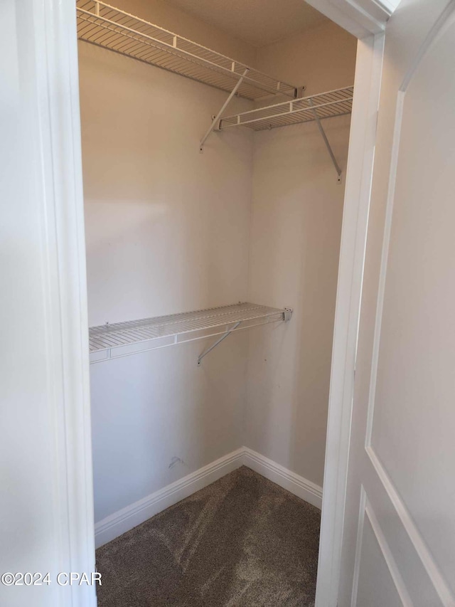 walk in closet with carpet flooring