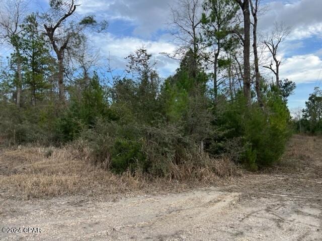 Listing photo 3 for 11630 County Line Rd, Fountain FL 32438